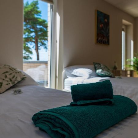 Joesuu Guesthouse Vaana-Joesuu Eksteriør bilde